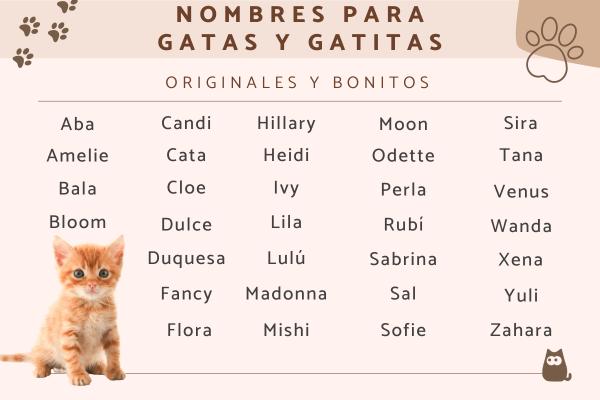Nombres para Gatas Elegantes