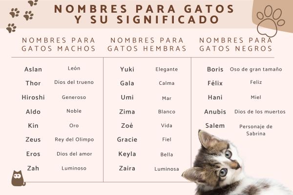 Nombres para Gatos con Significado Espiritual