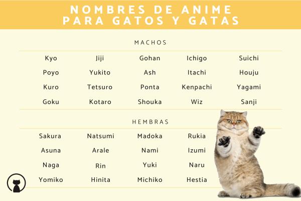 Nombres para gatos de free fire 4