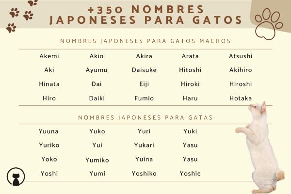 Nombres para Gatos de Minecraft