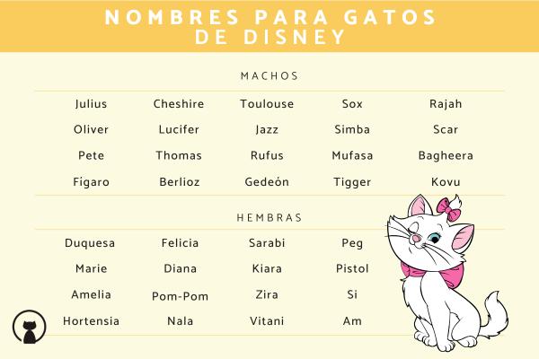 Nombres para Gatos Hembra Disney