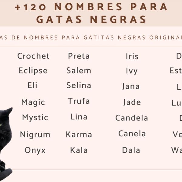 Nombres para gatos hembras negras 4
