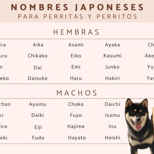 Nombres para Perros Akita Japones