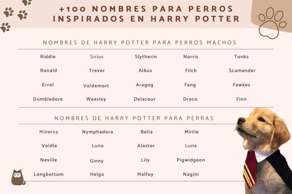 Nombres para Perros Basados en Harry Potter