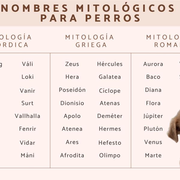 Nombres para Perros con Significado Espiritual
