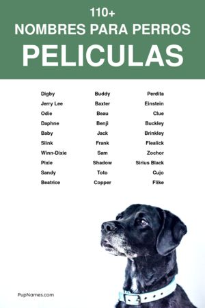 Nombres para perros de series y peliculas 2