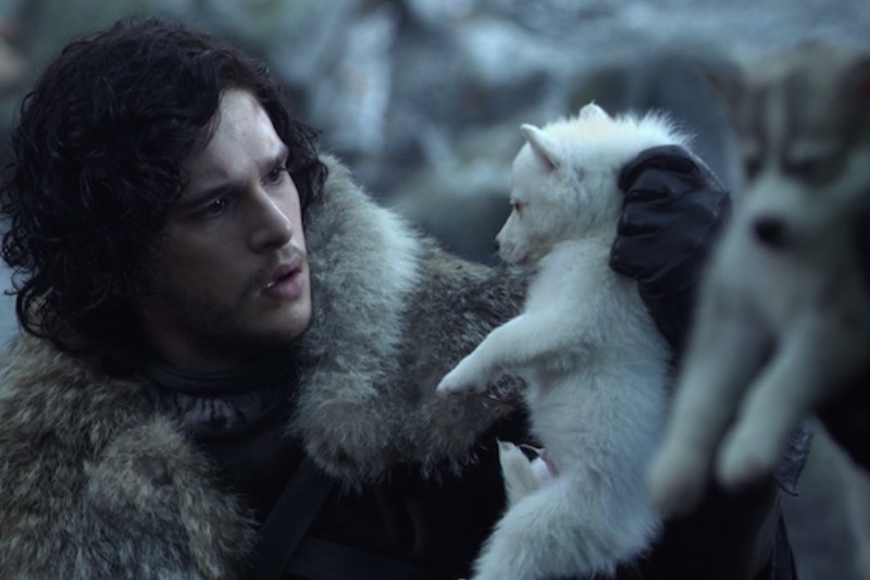 Nombres para Perros de Game of Thrones