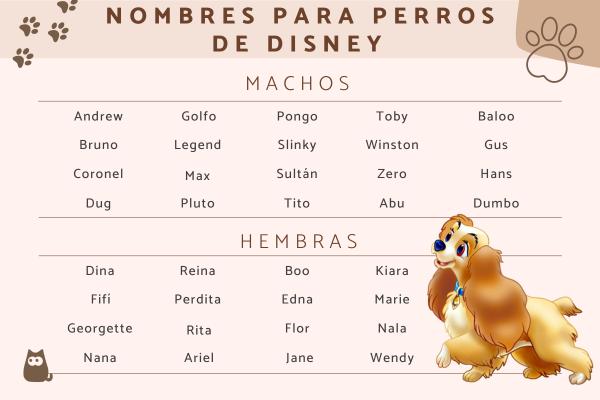 Nombres para perros de peliculas disney 2
