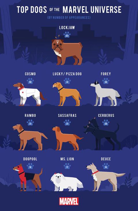 Nombres para Perros de Superhéroes