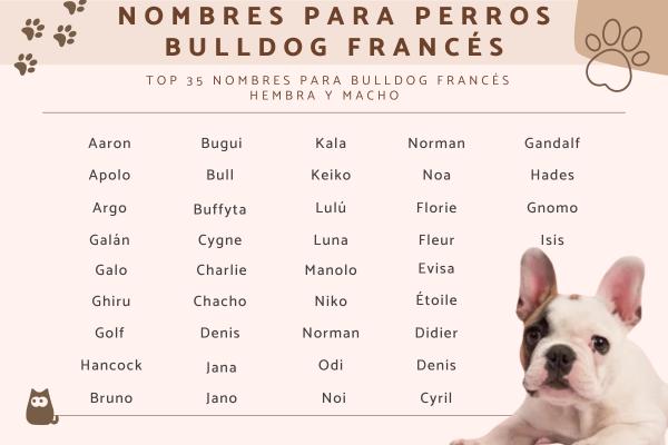 Nombres para Perros en Francés