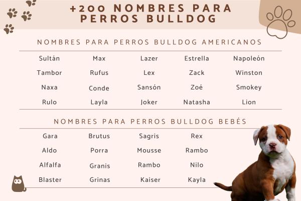 Nombres para Perros en Inglés y Significado