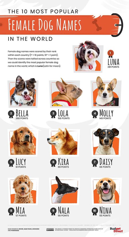 Nombres para Perros Estados Unidos