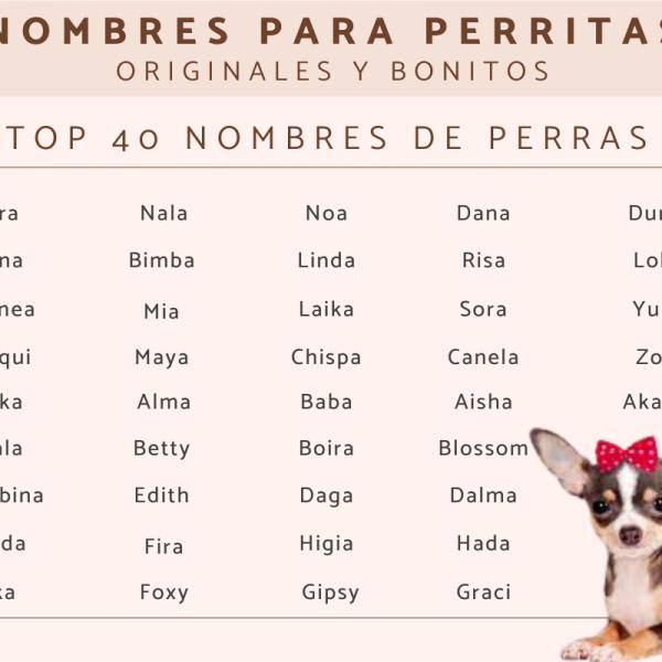 Nombres para Perros Hembra Raza Pequeña