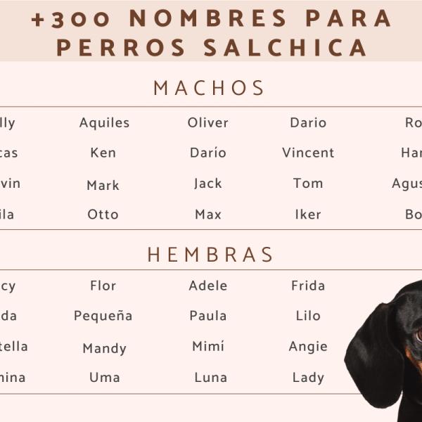 Nombres para Perros Hembras Color Negro