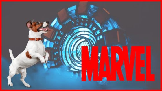 Nombres para Perros Inspirados en Marvel