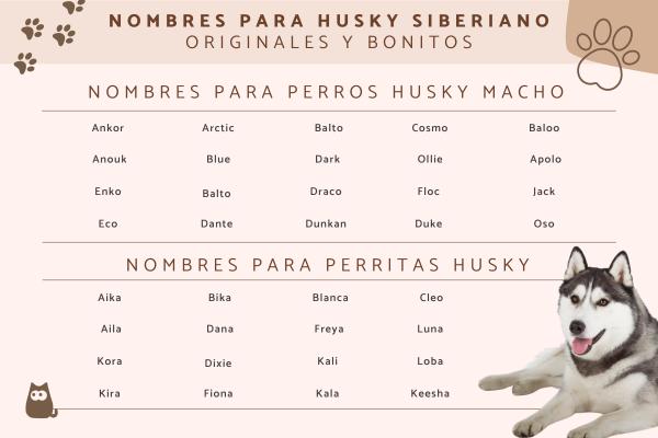 Nombres para Perros Lobos Hembras