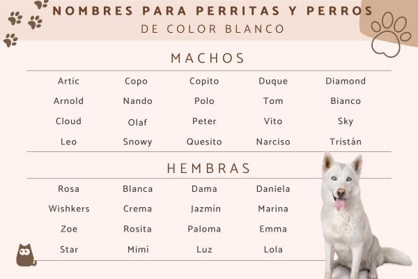 Nombres para Perros Machos Color Blanco