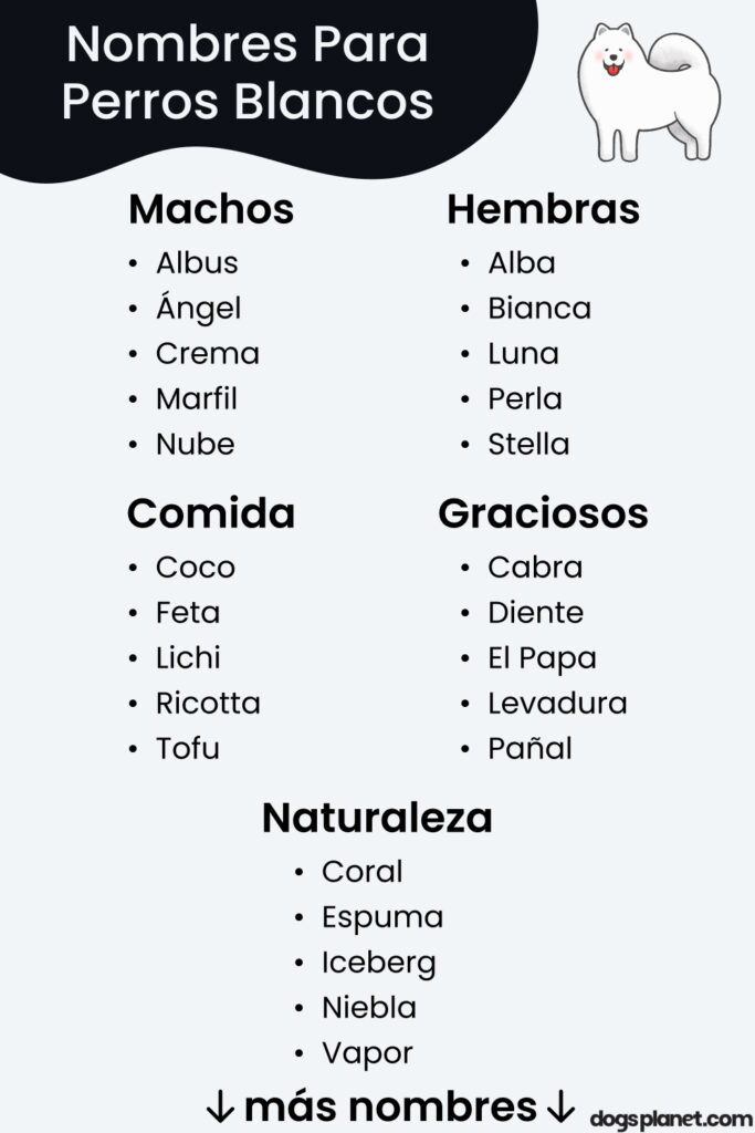 Nombres para perros machos de color blanco y negro 1
