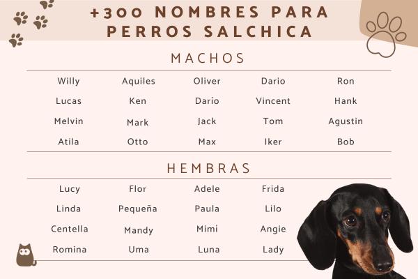 Nombres para Perros Manto Negro