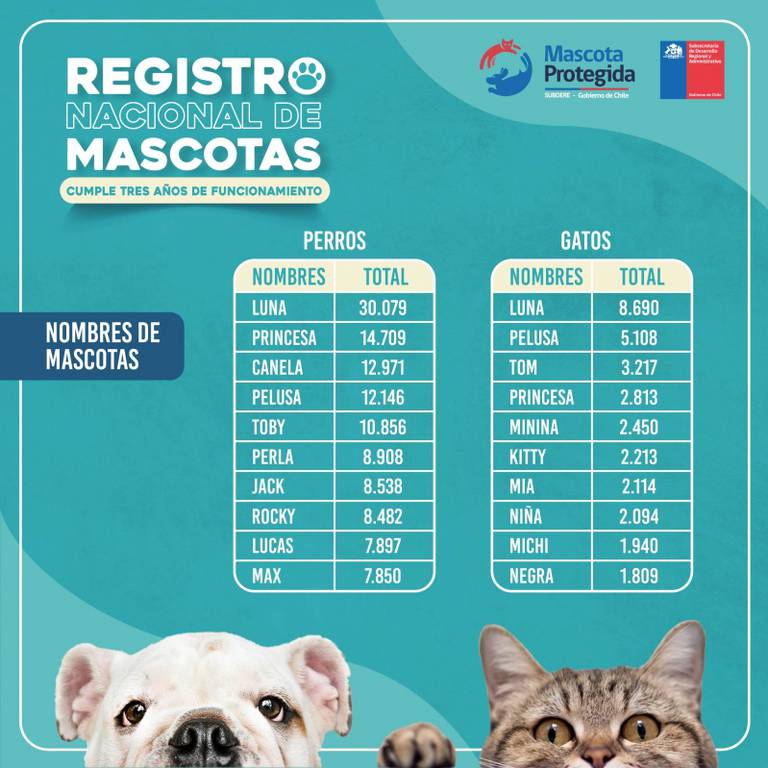 Nombres para Perros Mecánicos