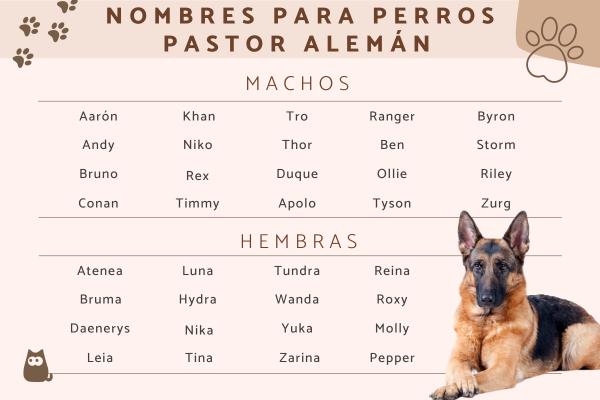 Nombres para Perros Policias Machos
