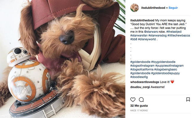 Nombres para perros star wars 2