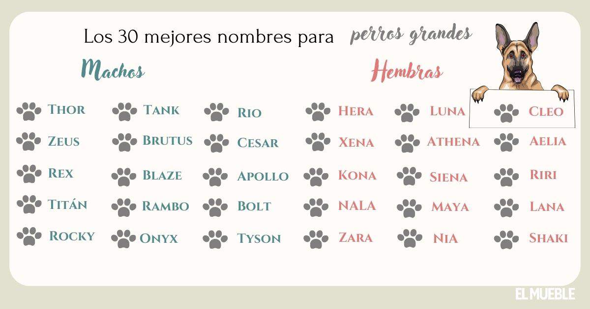 Nombres Religiosos para Perros