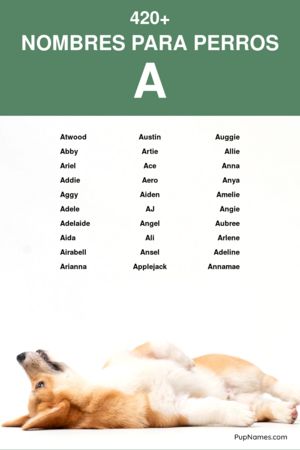 Nombres Rumanos para Perros