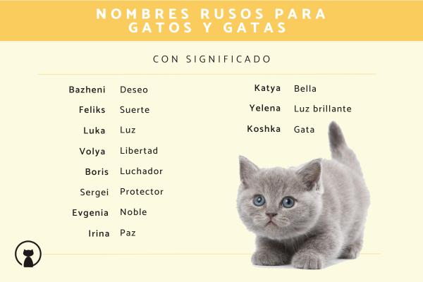 Nombres Rusos para Gatos