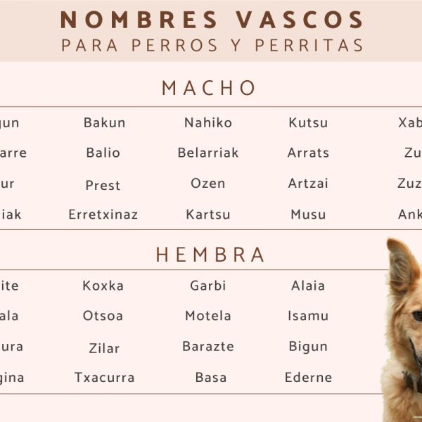 Nombres Vascos para Perros Machos