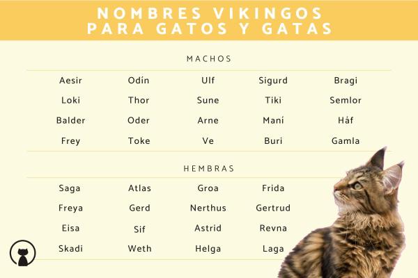 Nombres vikingos para gatos machos 2