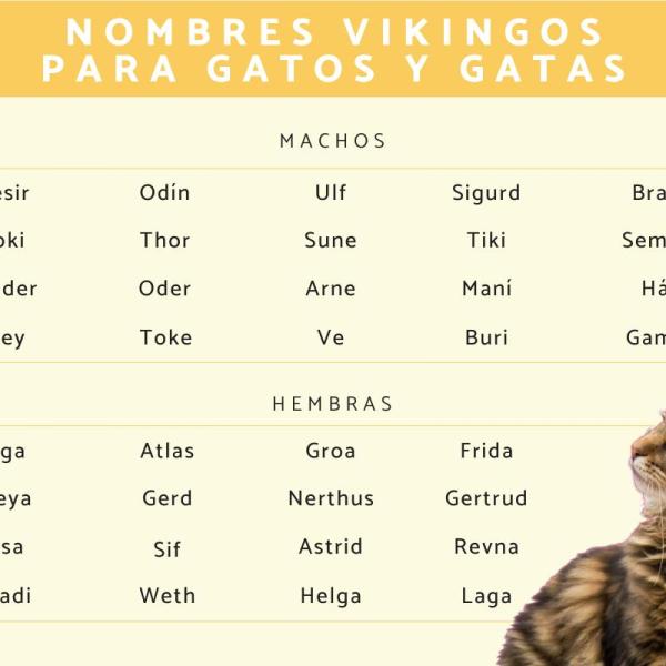 Nombres Vikingos para Gatos