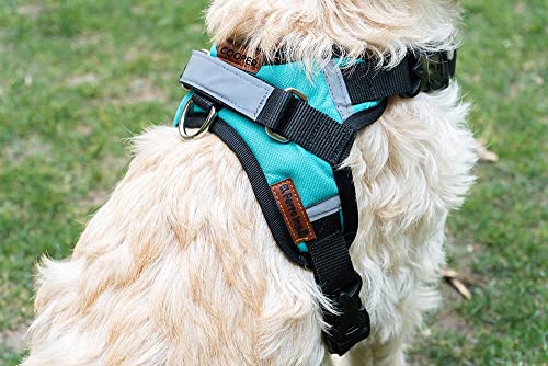 Pechera para Perro con Nombre