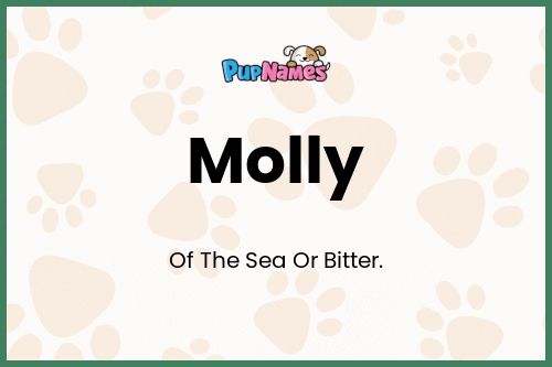 Significado de Nombre Molly para Perros