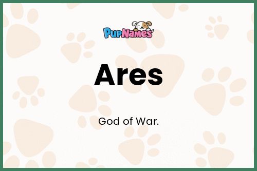 Significado del Nombre Ares para Perro