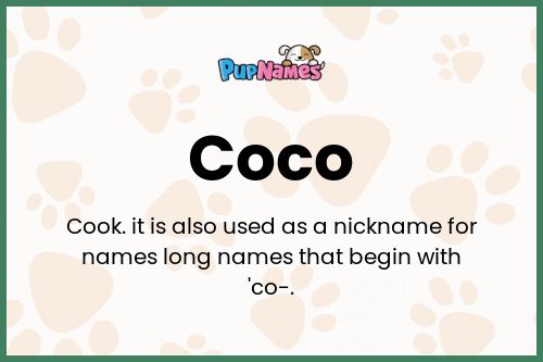 Significado del nombre coco para perros 1