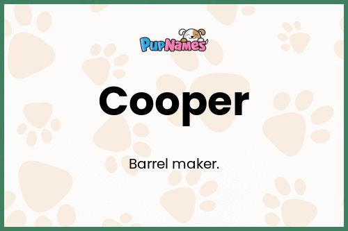 Nombres Turcos para Perros Hembras