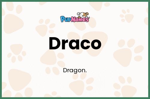 Significado del Nombre Draco para Perro