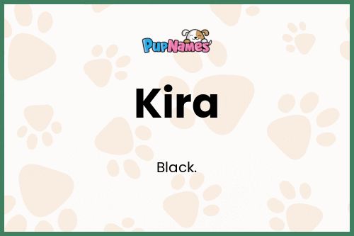 Significado del Nombre Kira para Perro