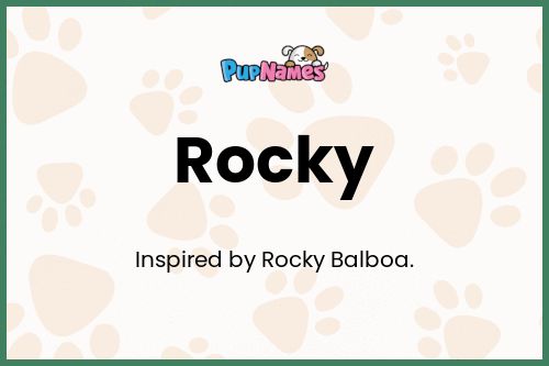Significado del nombre rocky para perro 2