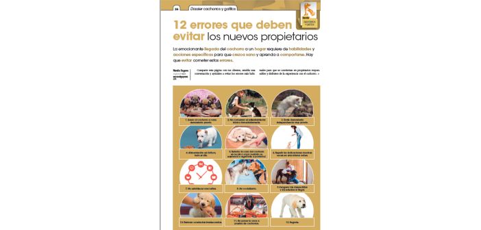 12 errores que deben evitar los nuevos propietarios