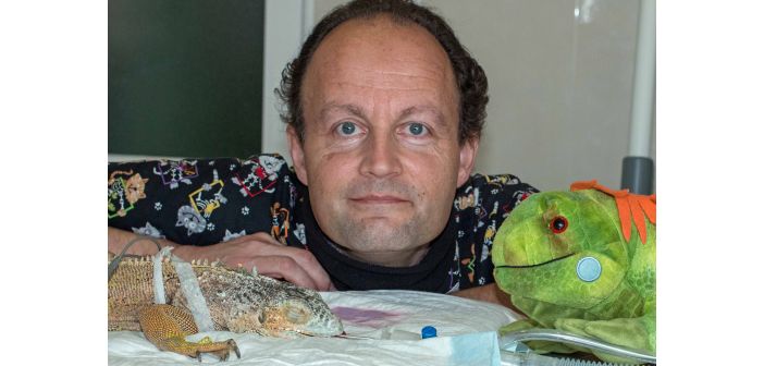 Articulos ahora se pueden ver todo tipo de reptiles 1
