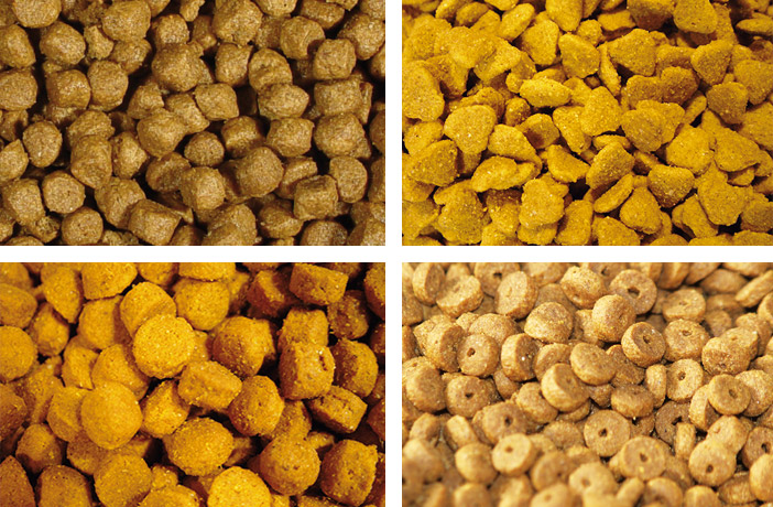Articulos alimentacion 2 alimentacion del gato senior 1