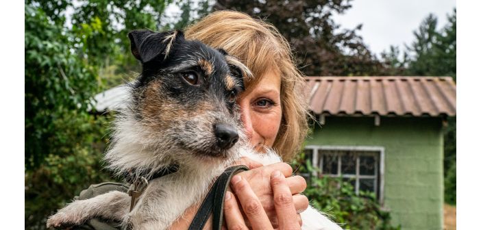 Andalucía y los destinos rurales son los elegidos para viajar con perro