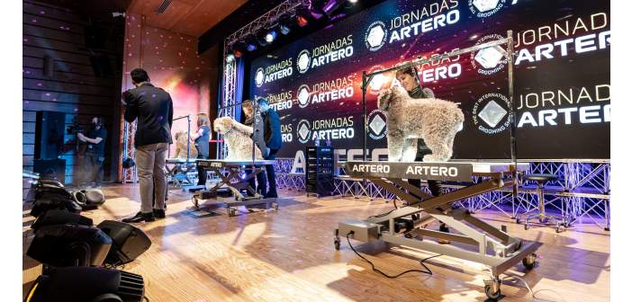 Actualidad especiales ferias iberzoopropet 2022 artero premia a los mejores peluqueros caninos en iberzoopropet 1