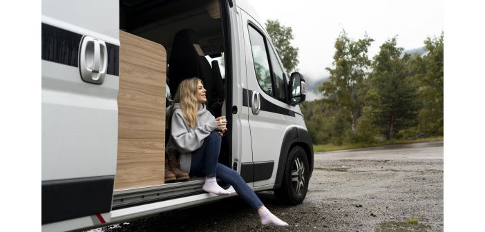Articulos asesoramiento profesional para viajar por carretera con mascotas 1
