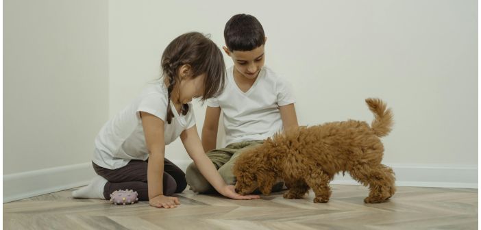 Articulos beneficios de crecer con un animal en la familia 1
