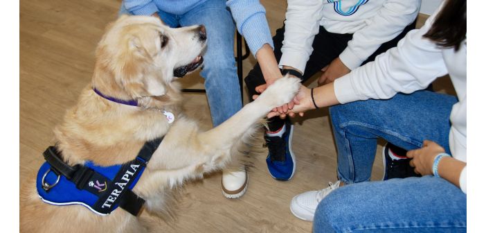 Actualidad beneficios de la terapia asistida con perros para adolescentes con trastornos mentales 1
