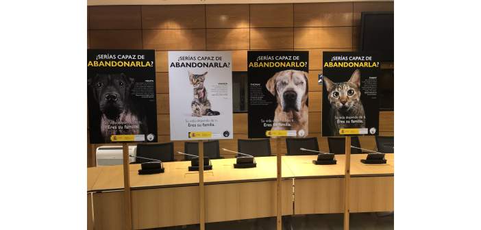 Actualidad campana contra el abandono de animales 1