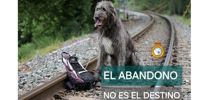 Actualidad campana de concienciacion el abandono no es el destino 1